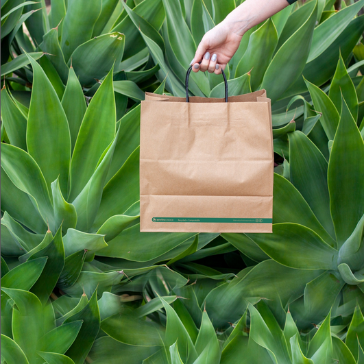 Paper Carry Bag Twist Handle Kraft